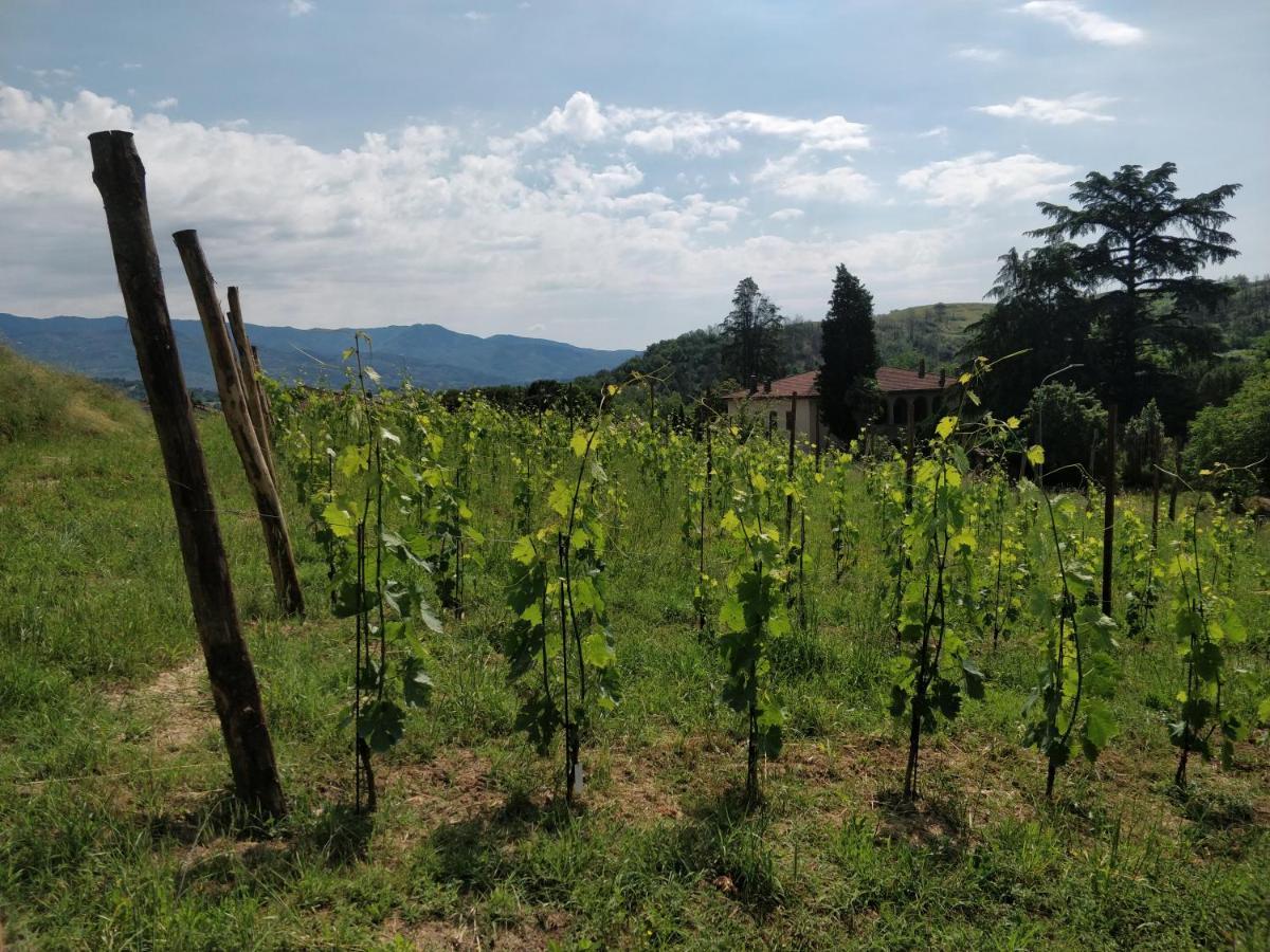 La Valle B&B Cavriglia Exteriér fotografie