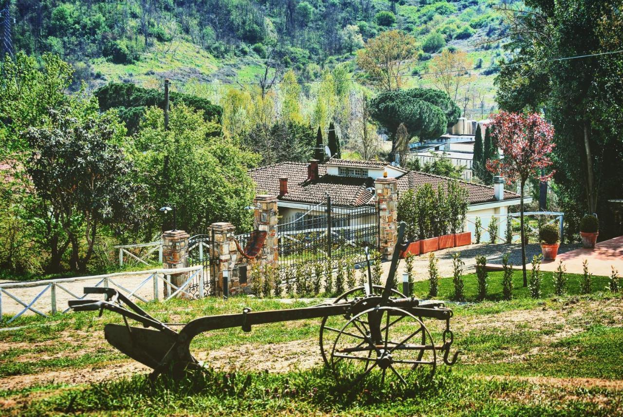 La Valle B&B Cavriglia Exteriér fotografie