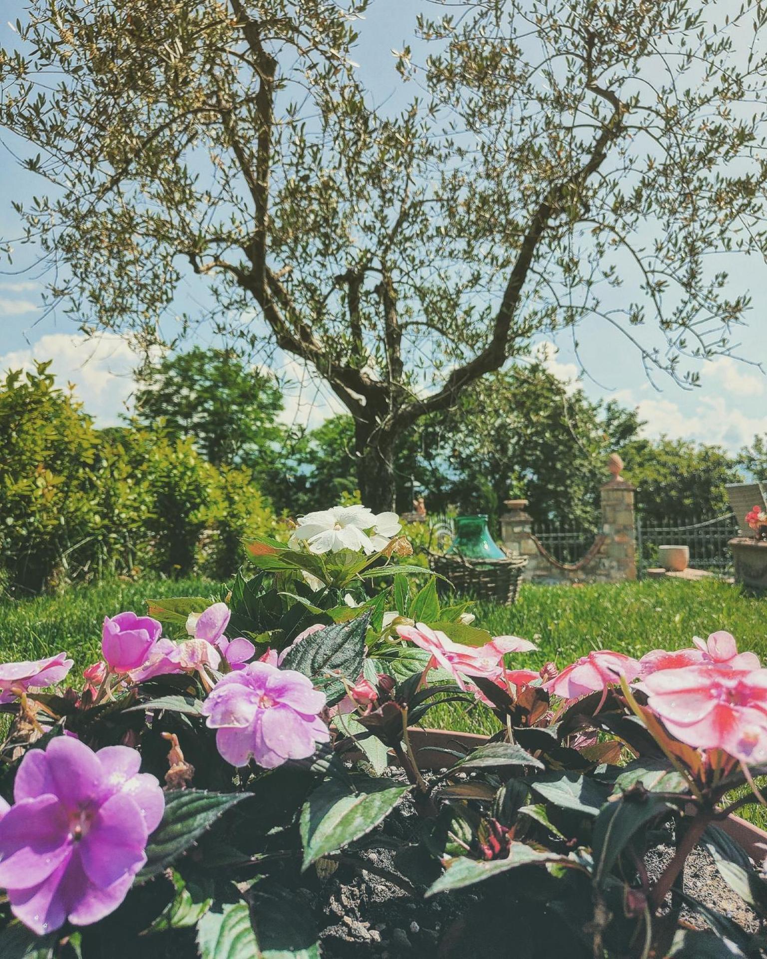 La Valle B&B Cavriglia Exteriér fotografie